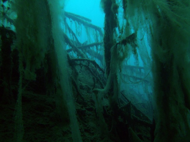 2013_10_12_Pretzien_105