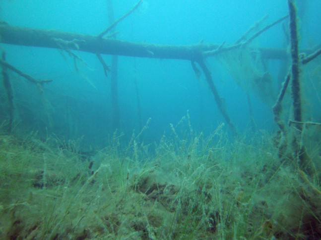 2013_10_12_Pretzien_114