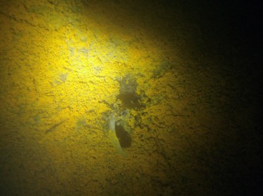 2013_10_12_Pretzien_119