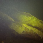 Bootswrack, Tauchen im Schermützelsee, Tauchen in Brandenburg