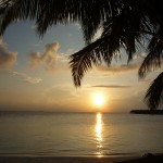 , Vilamendhoo, Ari Atoll, Tauchen auf den Malediven