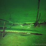 Unterwasserimpressionen, Tauchen im Steinbruch Ammelshain, Tauchen in Sachsen