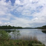 Großer Kronsee (Brandenburg), Tauchen im Großer Kronsee, Tauchen in Brandenburg