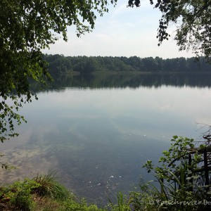 Großer Karbuschsee (Brandenburg)