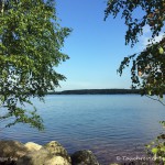 Senftenberger See, Tauchen im Senftenberger See, Tauchen in Brandenburg