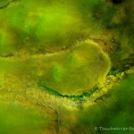 Unterwasserimpressionen, Tauchen im Senftenberger See, Tauchen in Brandenburg