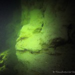 Steilkante im Starnberger See, Tauchen im Starnberger See, Tauchen in Bayern