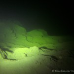 Steilkante im Starnberger See, Tauchen im Starnberger See, Tauchen in Bayern