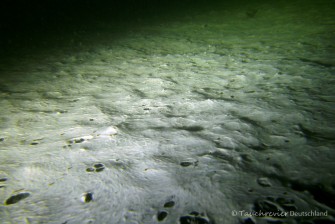 2014_10_24_Werbellinsee_103