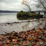 Werbellinsee, Tauchen im Werbellinsee, Tauchen in Brandenburg