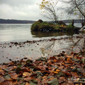 Werbellinsee