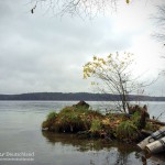 Werbellinsee, Tauchen im Werbellinsee, Tauchen in Brandenburg