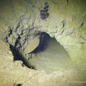Krebshöhle im Sand
