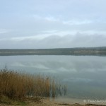 Helenesee Südufer, Tauchen im Helenesee, Tauchen in Brandenburg