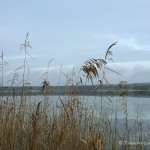 Helenesee Brandenburg, Tauchen im Helenesee, Tauchen in Brandenburg