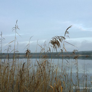 Helenesee Brandenburg