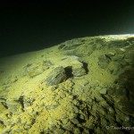 Helenesee Südufer, Tauchen im Helenesee, Tauchen in Brandenburg