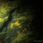 Braunkohlekante mit Spuren von Eisenoxid, Tauchen im Helenesee, Tauchen in Brandenburg