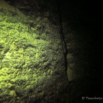 Helenesee Südufer, Tauchen im Helenesee, Tauchen in Brandenburg