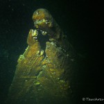 Kaffenkahnwrack am "Puddingberg"