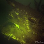 Tauchen im Stienitzsee, Tauchen in Brandenburg