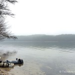 Werbellinsee Einstieg Badewiese