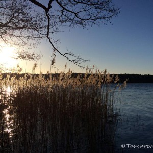 Werbellinsee (Brandenburg)