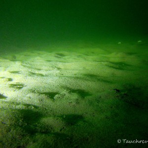 sandige Bodenstruktur