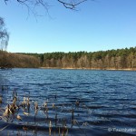 Kleiner Wukensee, Tauchen im Kleiner Wukensee, Tauchen in Brandenburg