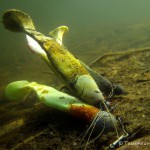 Kunstfischköder, Tauchen im Kleiner Wukensee, Tauchen in Brandenburg