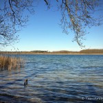 Großer Seddiner See, Tauchen im Großer Seddiner See, Tauchen in Brandenburg