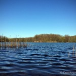 Großer Seddiner See, Tauchen im Großer Seddiner See, Tauchen in Brandenburg