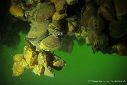 2015_04_22_Kalksee_106