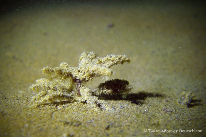 2015_04_22_Kalksee_113