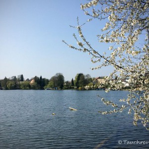 Petzsee, Westufer