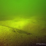 Sandmulden, Tauchen im Peetzsee, Tauchen in Brandenburg