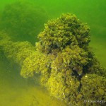 Kahn, Wrack, Steuerbordseite, Tauchen im Peetzsee, Tauchen in Brandenburg