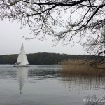 Werbellinsee, Dornbusch