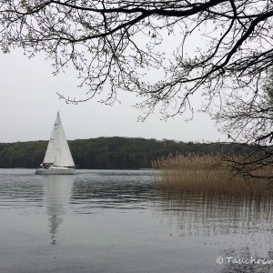 Werbellinsee, Dornbusch