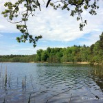 Dovinsee, Tauchen im Dovinsee, Tauchen in Brandenburg