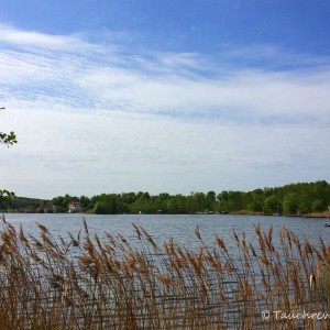 Kalksee