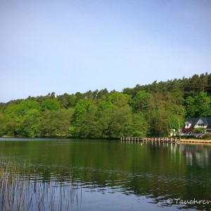 Obersee (Lanke)