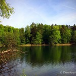 Obersee (Lanke), Tauchen im Obersee, Tauchen in Brandenburg