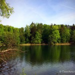 Obersee (Lanke), Tauchen im Obersee, Tauchen in Brandenburg