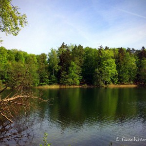 Obersee (Lanke)