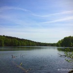 Obersee (Lanke), Tauchen im Obersee, Tauchen in Brandenburg