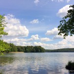 Werbellinsee, Tauchen in Brandenburg