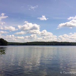 Werbellinsee (Brandenburg)