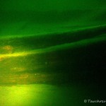 Werbellinsee, Kaffenkahnwrack "Kap Horn", Tauchen im Werbellinsee, Tauchen in Brandenburg