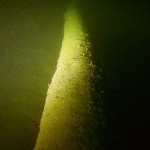 Werbellinsee, Kaffenkahnwrack "Kap Horn", Mast, Tauchen im Werbellinsee, Tauchen in Brandenburg